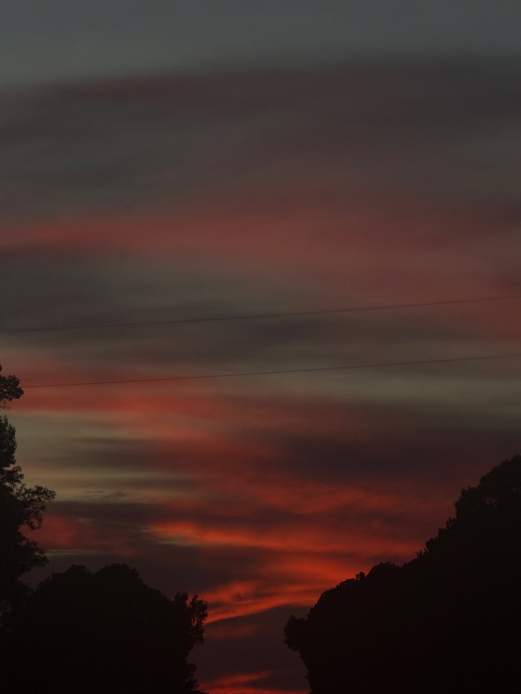 Red Sky