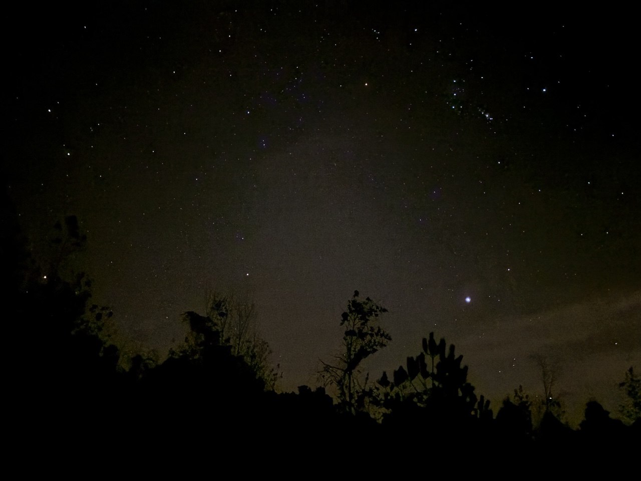 Stars